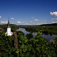 Blick auf die Weinberge und Kesten