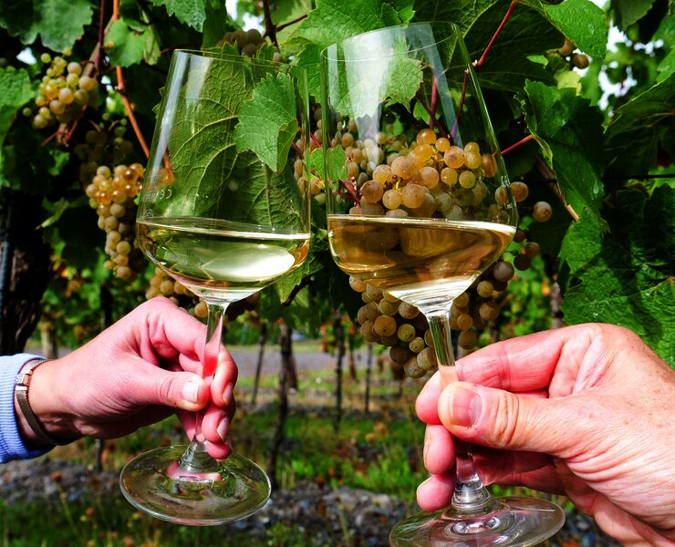 Weingenuss an der Mosel