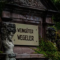 Schild im Weinberg