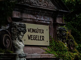 Schild im Weinberg