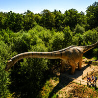 Das Bild zeigt einen Langhalsdinosaurier im Dinopark Teufelsschlucht.