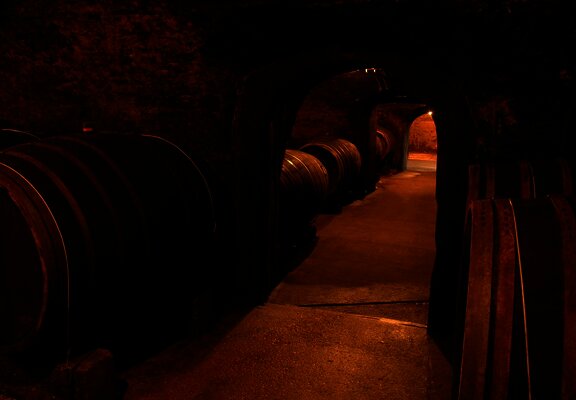 Keller Weingut Mönchhof