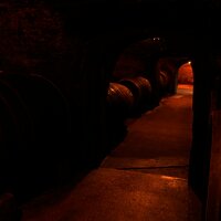 Keller Weingut Mönchhof