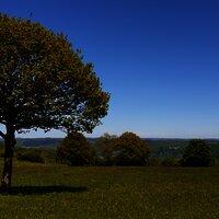 Blick in den Hunsrück