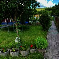 Garten mit Trampolin