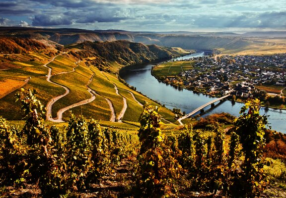 Piesport an der Mosel