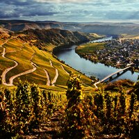 Piesport an der Mosel