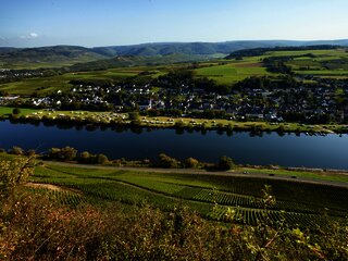 Blcik auf Brauneberg an der Mosel