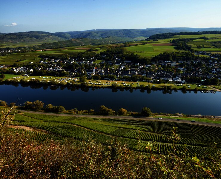 Blcik auf Brauneberg an der Mosel