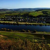 Blcik auf Brauneberg an der Mosel