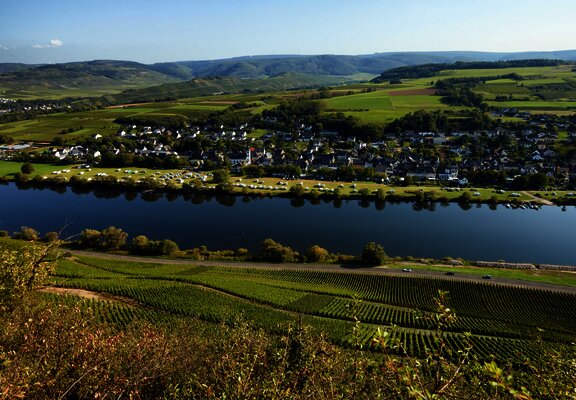Blcik auf Brauneberg an der Mosel