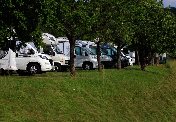 Gepflegte Stellplätze im Grünen
