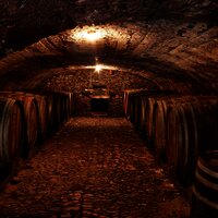 Weinkeller an der Mosel