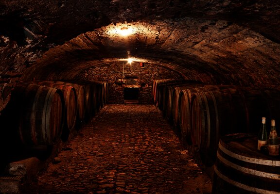 Weinkeller an der Mosel