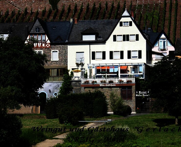 A.K.-Weingut-Gerlach