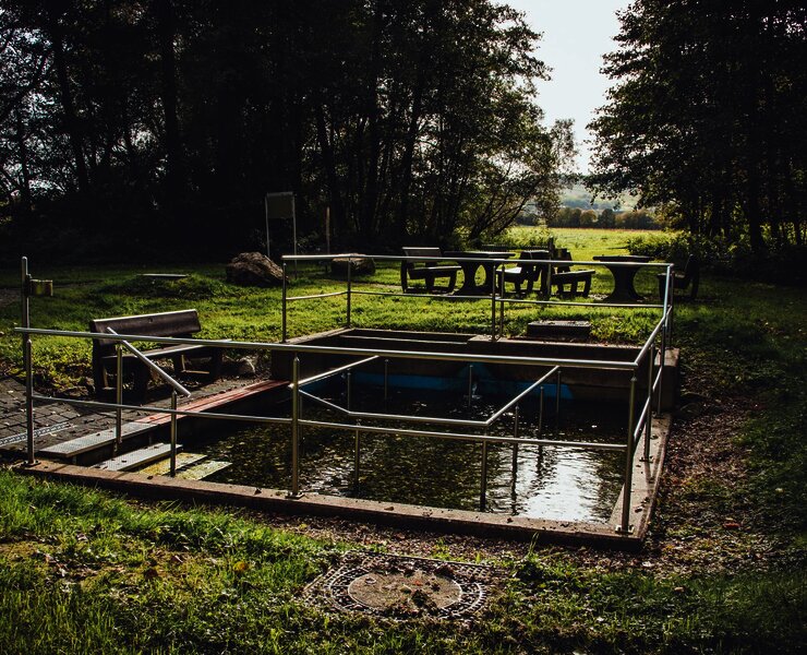 Wassertretbecken