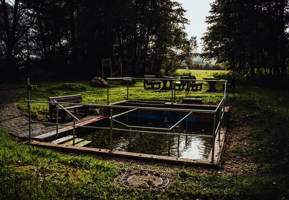 Wassertretbecken