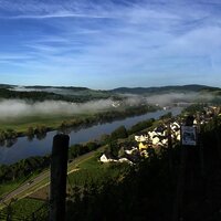 Lieserer Niederberg-Helden - Mosel - Wein- und Gae