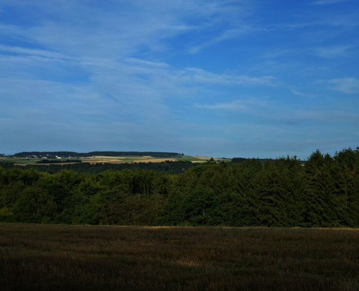 Ausblick auf die Wald- und Wiesenlandschaft
