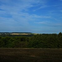 Ausblick auf die Wald- und Wiesenlandschaft