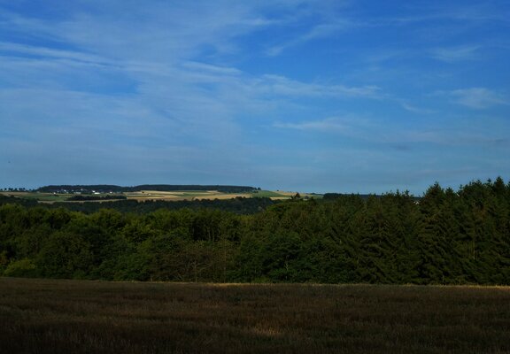 Ausblick auf die Wald- und Wiesenlandschaft