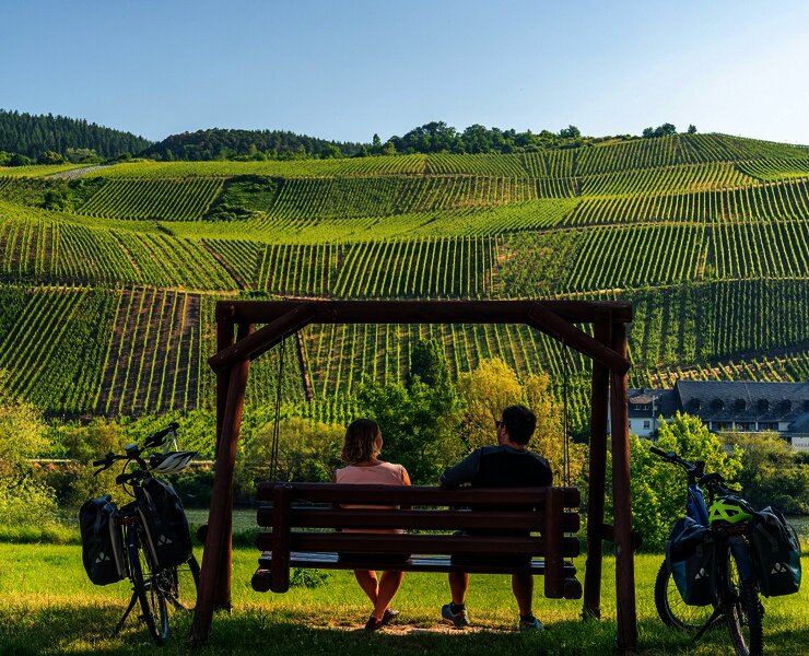 Genussradeln entlang des Mosel-Radwegs bei Erden