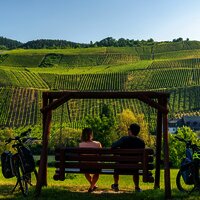 Genussradeln entlang des Mosel-Radwegs bei Erden