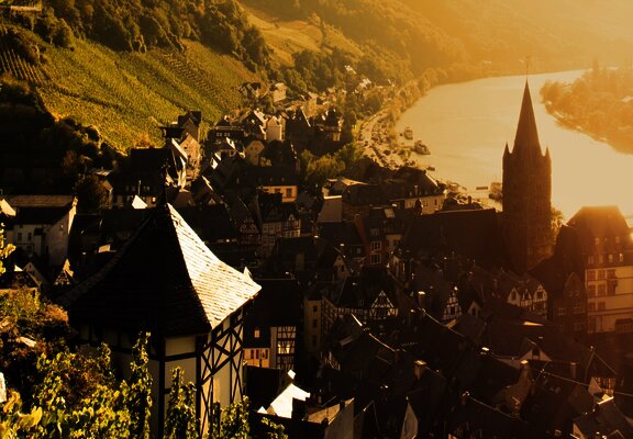 Thanisch-Häuschen im Doctorweinberg