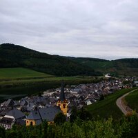 Zeltingen Panorama