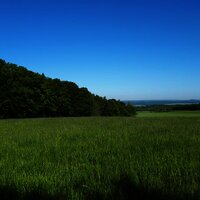 Moselsteig zwischen Wochern und Sinz