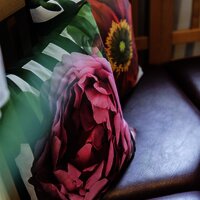 Feriendomizil Roussel