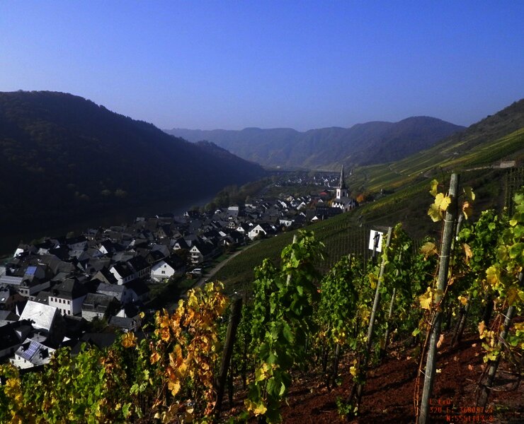 Aussicht aus den Weinbergen auf Ediger-Eller