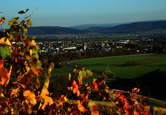 Weinberge bei Wittlich