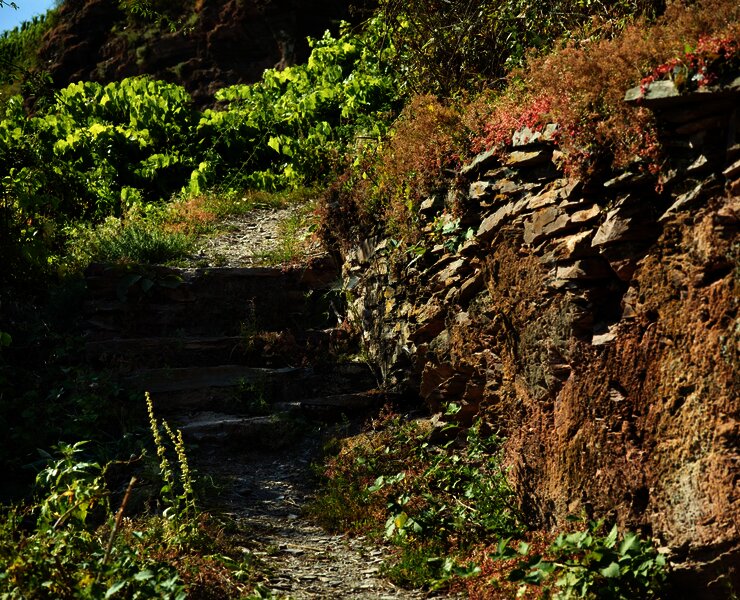 Leuchtpunkt in Erden