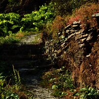 Leuchtpunkt in Erden