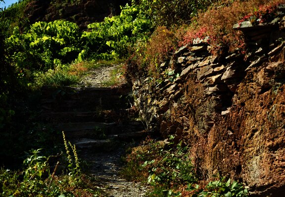 Leuchtpunkt in Erden