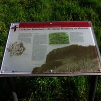 Informationstafel zur Ruine Rosenburg