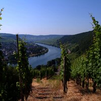 Blick auf Neumagen Dhron