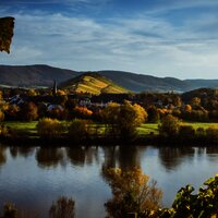 Mülheim an der Mosel