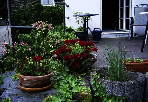 Urlaub im Grünen an der Mosel