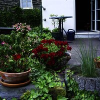 Urlaub im Grünen an der Mosel