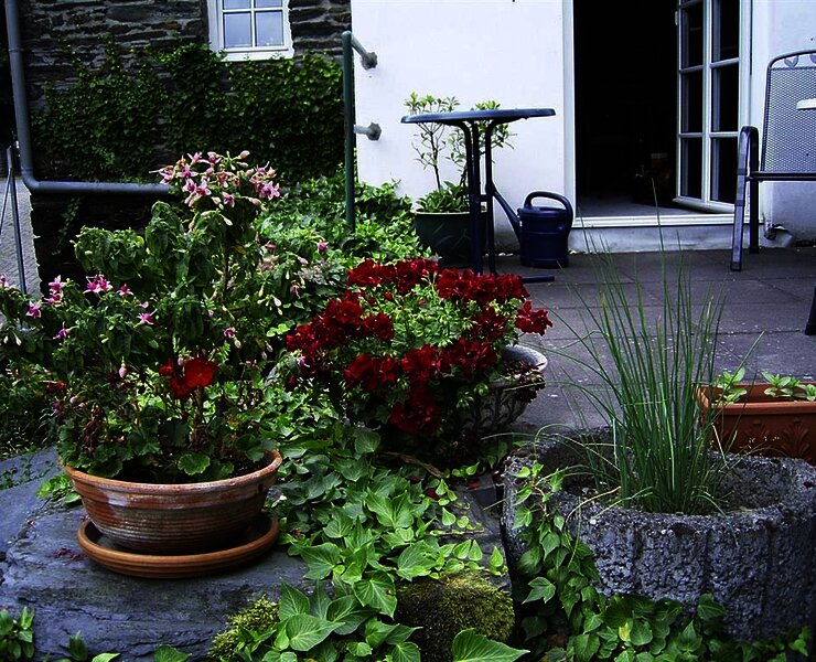 Urlaub im Grünen an der Mosel