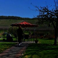 Entspannen im Weingut Tiliahof