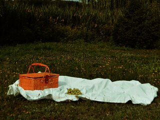 Picknickkorb
