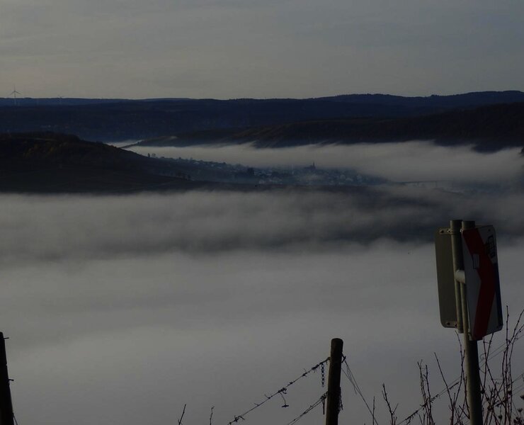 Nebel im Moseltal