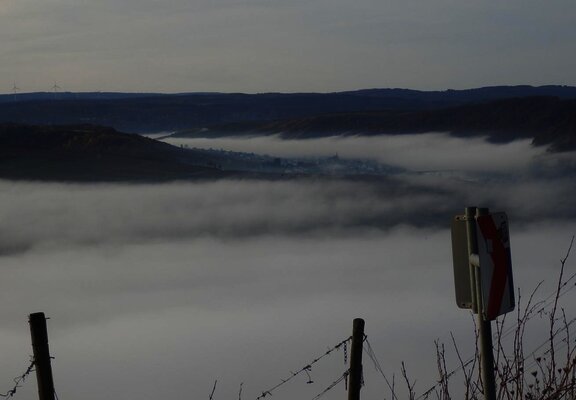 Nebel im Moseltal