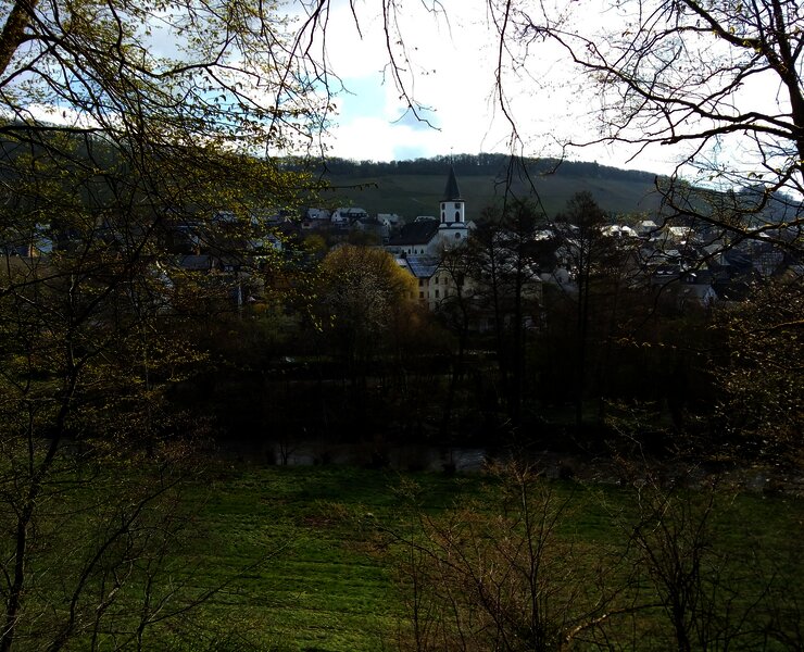 Aussicht vom Lieserpfad bei Maring