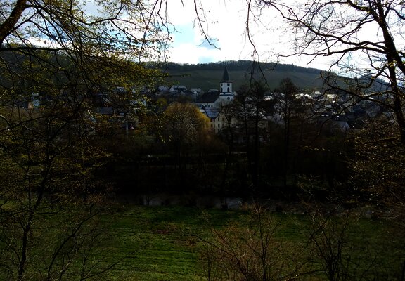 Aussicht vom Lieserpfad bei Maring