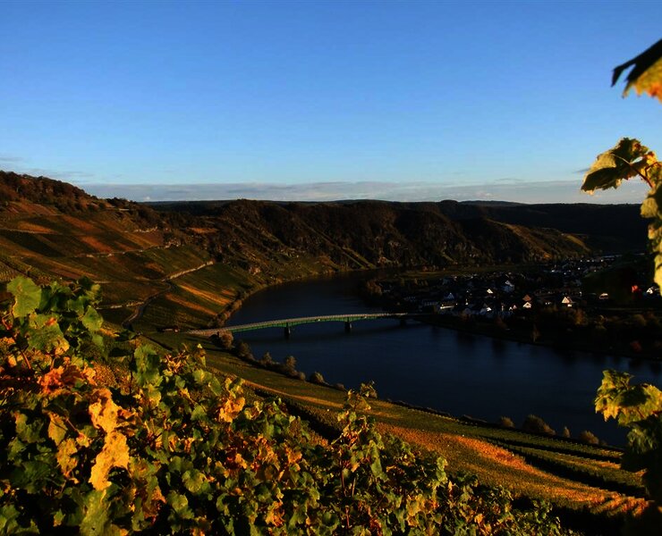 Mosel