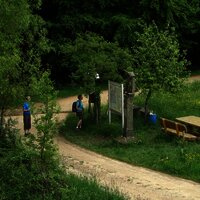 Zitronenkrämerkreuz